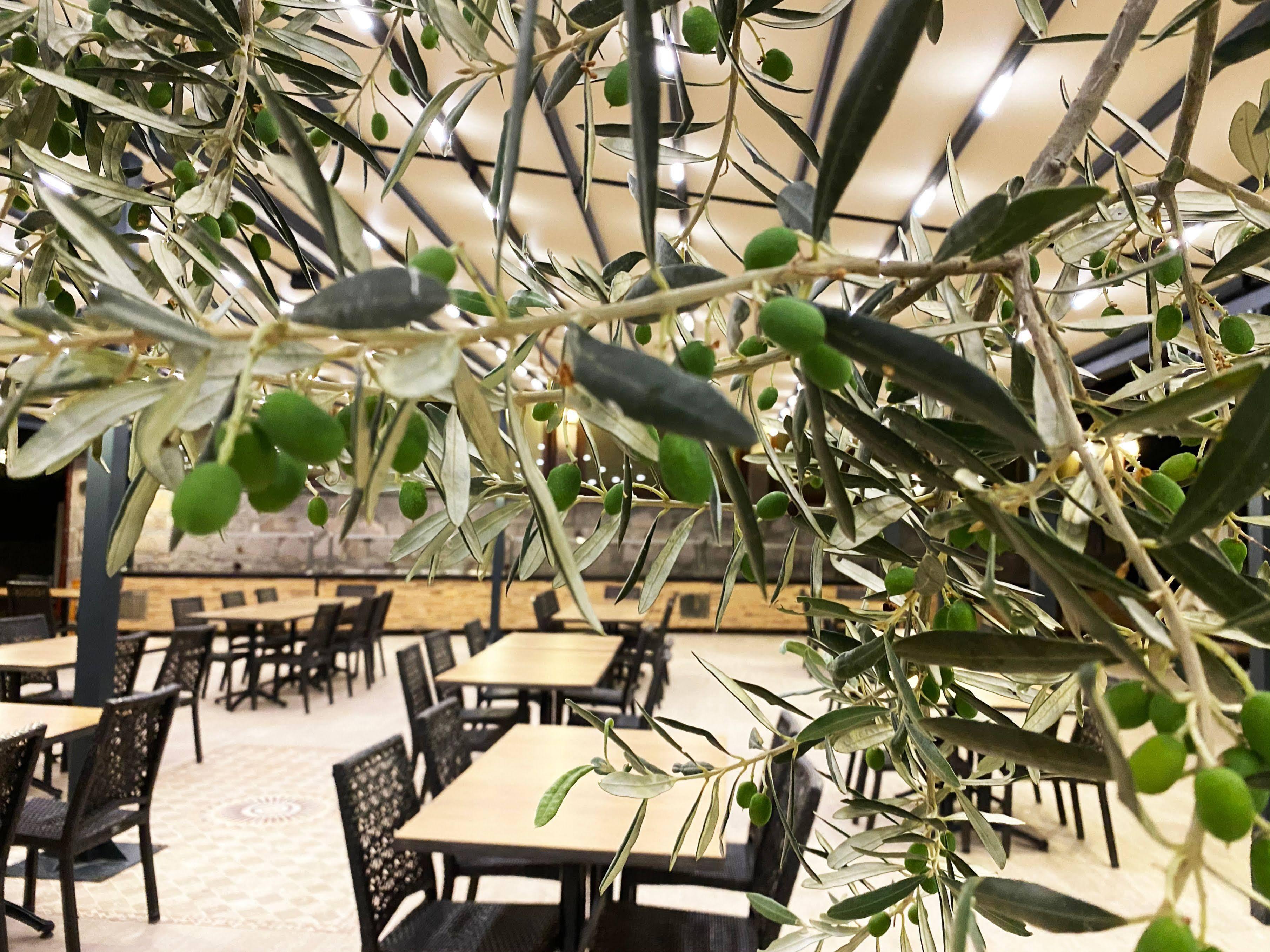 Assos Park Hotel المظهر الخارجي الصورة
